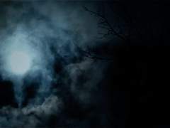 거짓으로 포장하지 않은 본질은,