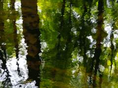 5th :: 신비한 동물 돌보기