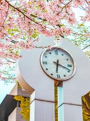 [태원유진] small forward