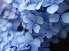 [공개 프로필 : 이은하 / 12]