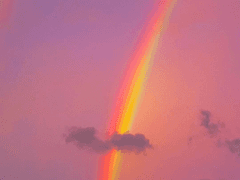 너의 생각에 허기가 진다