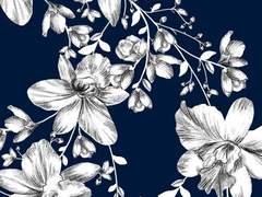 우리는 달빛에도 걸을 수 있다