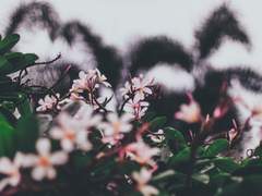 [리퀘. 인우동식] 진실과 오해 사이