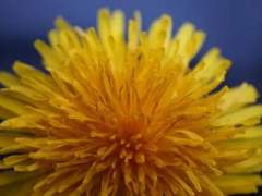 [아츠키타]좋아해