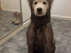 민호승수 - 다음에 또 만나요