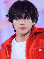 Kim Taehyung  (V)