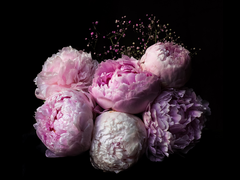 [홍부] 사랑이기를,