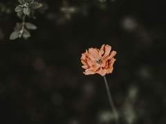 여독에 물든 것들