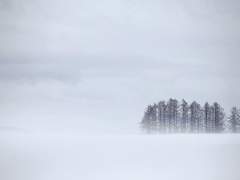 [민뷔] 북극성의 연인. 下 [완결]