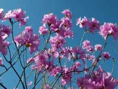 [오이이와]아무것도 모르면서