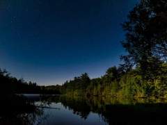 [스팁버키] 그 날 와칸다의 밤