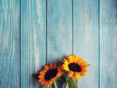 떨어진 꽃을 위해,