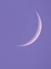 사랑하는 당신에게 쓰는 편지