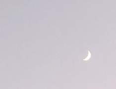 너만 있어야 해