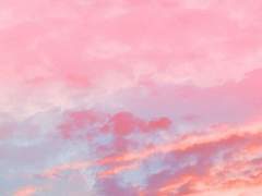 To. 세실리아 드리스컬에게.