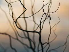 [마블_다수 드림] 그들의 질투