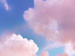 오늘도 하늘은 참 푸릅니다