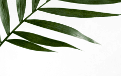 :: 𝐂𝐎𝐌𝐌𝐈𝐒𝐒𝐈𝐎𝐍