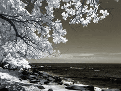 [망기무선] 明知不可而为之(명지불가이위지)-01