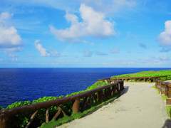 MENU - ADJUSTMENTS - SELECTIVE COLOR