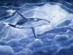 샤를로테 M. 유토피아/카수스