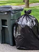 Sweet Little Creature