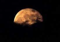 달이 가려진 밤에 (1)