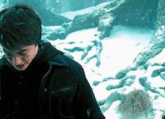 그대의 모든것에 대한 연주곡