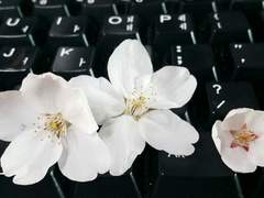 [조각/사추금릉] 기다렸지요.