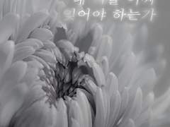 그대가 없는 이 공간에