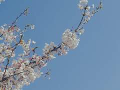 쌍섭 | 나의 __에게.