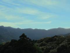 White on a layer mask