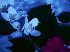 한 천체가 다른 천체의 중력에 영향을 받아 질량 중심을 중심으로 궤도 운동하는 것을 공전이라고 한다.