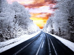 탐색 여행 기록