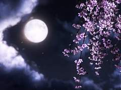 월하정인(月下情人) 01