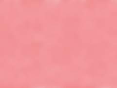 Sㅔ기의 Fㅏ이트 上, 下