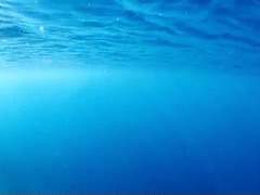 대지를 유영하며