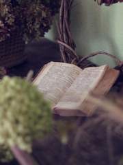 [시카테마] Love Affair