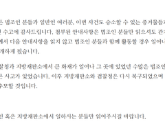 [역전재판] 나폴리탄