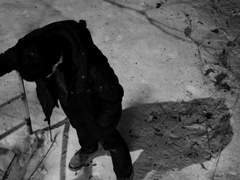 하늘 노니는 새를 먹이는 신이 있노니