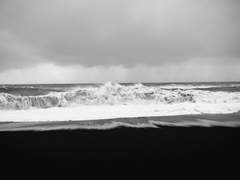 누나의 살갗, 단단한 피부에게