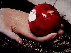 모든 선택이 똑같지는 않을 테지만,