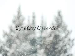 경계 어린 눈토끼