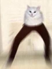 라인플레이 계정관련