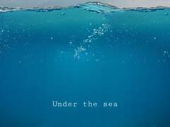 [문밤] Under the sea 🌊 #2