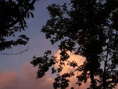 [규훈/원찬] 어서오세요, 0월의 밤에 01