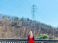 여우들이 당신을 사랑할 때 0