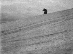 380. Paysage d’Hiver - Paysage D’Hiver