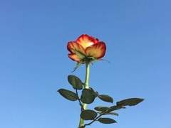 이 어둠 속에서