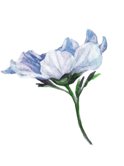 시한부 영애는 신을 원망한다.